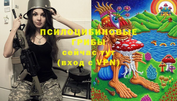хмурый Алексеевка