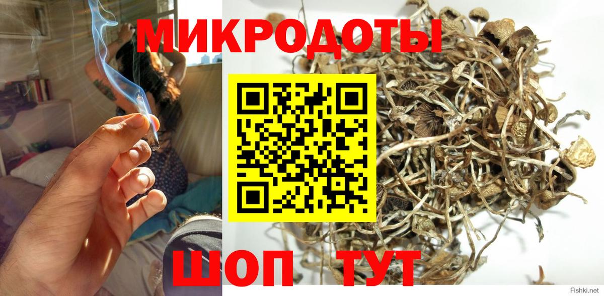 Галлюциногенные грибы GOLDEN TEACHER  Вход с VPN  Галлюциногенные грибы MAGIC MUSHROOMS  Алексин 