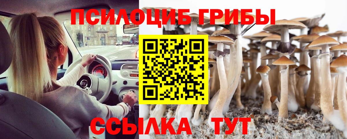 Псилоцибиновые грибы Magic Shrooms Алексин